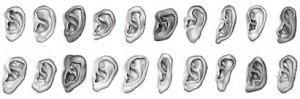 Various Types of Ear